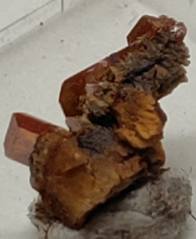 Wulfenite from Red Cloud Mine, Arizona. Stock 1.4 cm #5220