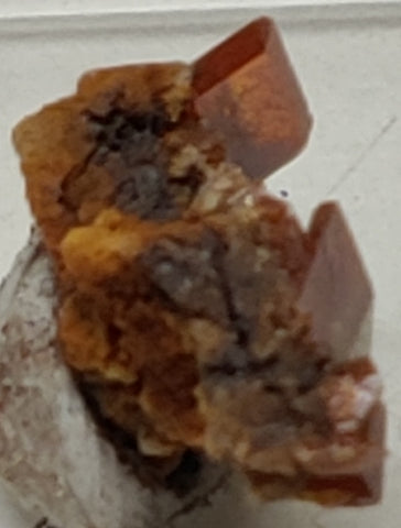 Wulfenite from Red Cloud Mine, Arizona. Stock 1.4 cm #5220