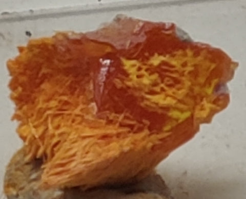 Wulfenite and Mimetite from Rowley Mine, Arizona. 1.1 cm #5019
