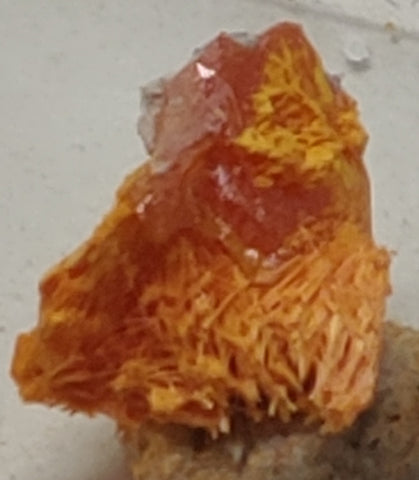 Wulfenite and Mimetite from Rowley Mine, Arizona. 1.1 cm #5019