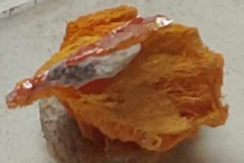 Wulfenite and Mimetite from Rowley Mine, Arizona. 1.1 cm #5019
