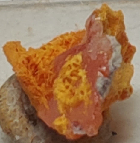Wulfenite and Mimetite from Rowley Mine, Arizona. 1.1 cm #5019