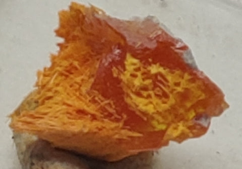 Wulfenite and Mimetite from Rowley Mine, Arizona. 1.1 cm #5019