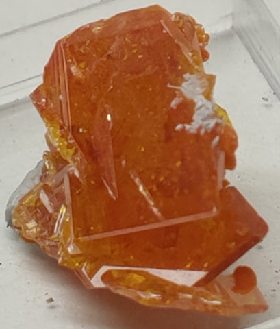 Wulfenite and Mimetite from Rowley Mine, Arizona. 2 cm #5021