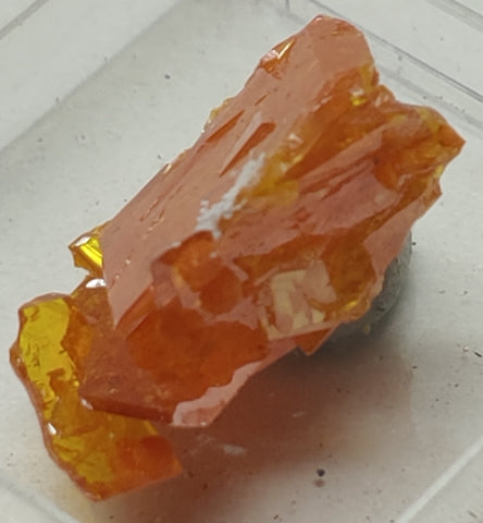 Wulfenite and Mimetite from Rowley Mine, Arizona. 2 cm #5021