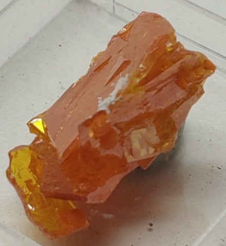 Wulfenite and Mimetite from Rowley Mine, Arizona. 2 cm #5021
