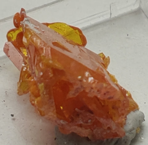 Wulfenite and Mimetite from Rowley Mine, Arizona. 2 cm #5021