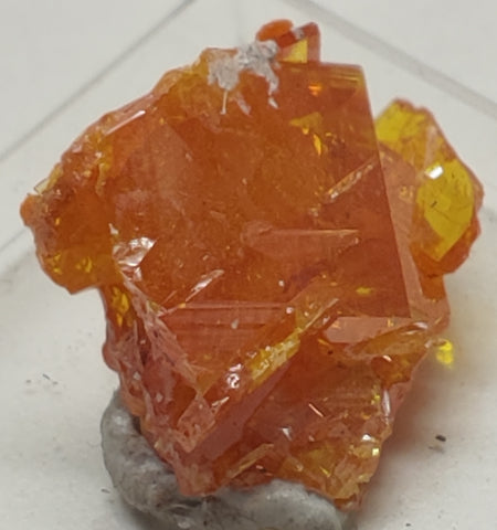 Wulfenite and Mimetite from Rowley Mine, Arizona. 2 cm #5021