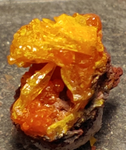 Wulfenite and Mimetite from Rowley Mine, Arizona. 2.1 cm #4072
