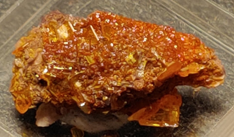 Wulfenite and Mimetite from Rowley Mine, Arizona. 2.4 cm #4075
