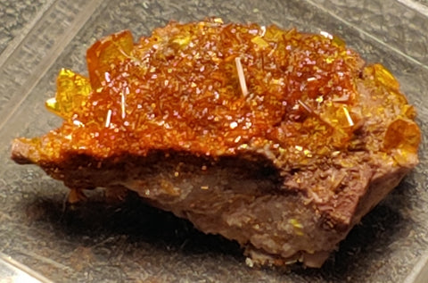 Wulfenite and Mimetite from Rowley Mine, Arizona. 2.4 cm #4075