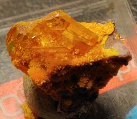 Wulfenite and Mimetite from Rowley Mine, Arizona. 1.5 cm #4076