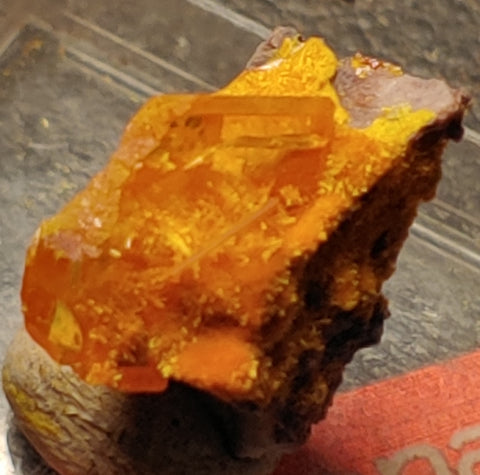 Wulfenite and Mimetite from Rowley Mine, Arizona. 1.5 cm #4076
