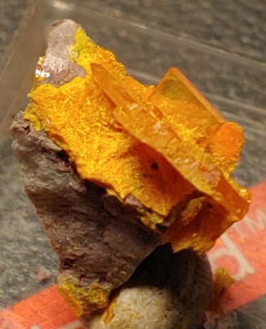 Wulfenite and Mimetite from Rowley Mine, Arizona. 1.5 cm #4076