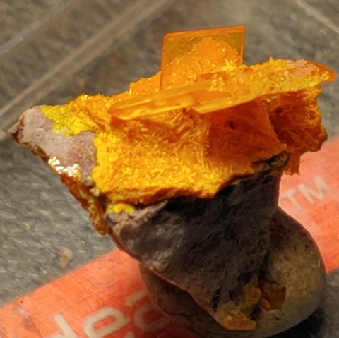 Wulfenite and Mimetite from Rowley Mine, Arizona. 1.5 cm #4076
