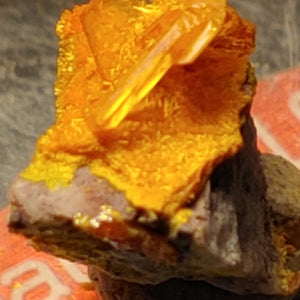 Wulfenite and Mimetite from Rowley Mine, Arizona. 1.5 cm #4076