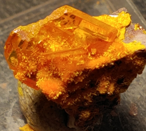 Wulfenite and Mimetite from Rowley Mine, Arizona. 1.5 cm #4076