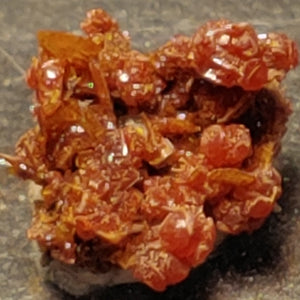 Wulfenite and Mimetite from Rowley Mine, Arizona. 1.2 cm #4078