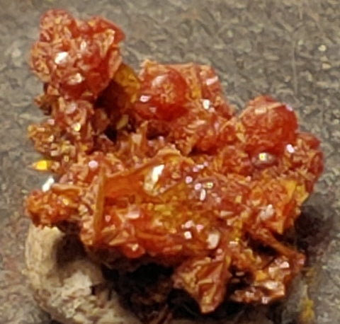 Wulfenite and Mimetite from Rowley Mine, Arizona. 1.2 cm #4078