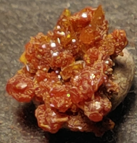Wulfenite and Mimetite from Rowley Mine, Arizona. 1.2 cm #4078