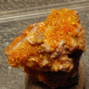 Wulfenite and Mimetite from Rowley Mine, Arizona. 1.3 cm #4080