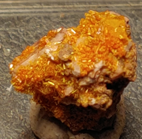 Wulfenite and Mimetite from Rowley Mine, Arizona. 1.3 cm #4080