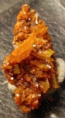 Wulfenite and Mimetite from Rowley Mine, Arizona. 1.5 cm #5042