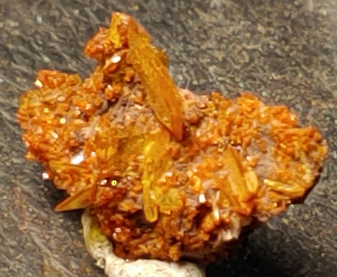 Wulfenite and Mimetite from Rowley Mine, Arizona. 1.5 cm #5042