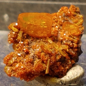 Wulfenite and Mimetite from Rowley Mine, Arizona. 1.5 cm #5042