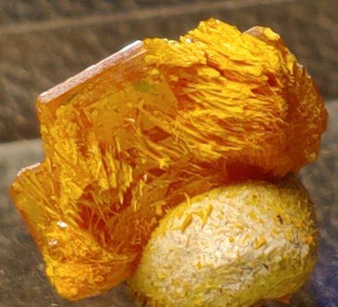 Wulfenite and Mimetite from Rowley Mine, Arizona. 1.2 cm #5044