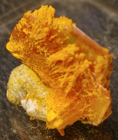 Wulfenite and Mimetite from Rowley Mine, Arizona. 1.2 cm #5044