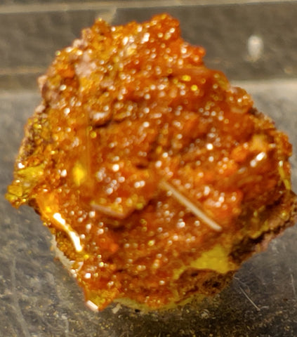 Wulfenite and Mimetite from Rowley Mine, Arizona. 1.2 cm #5045