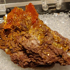 Wulfenite and Mimetite from Rowley Mine, Arizona. 3 cm #5048