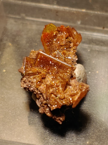 Wulfenite and Mimetite from Rowley Mine, Arizona. 1.7 cm #5052