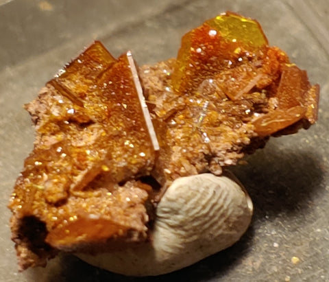 Wulfenite and Mimetite from Rowley Mine, Arizona. 1.7 cm #5052