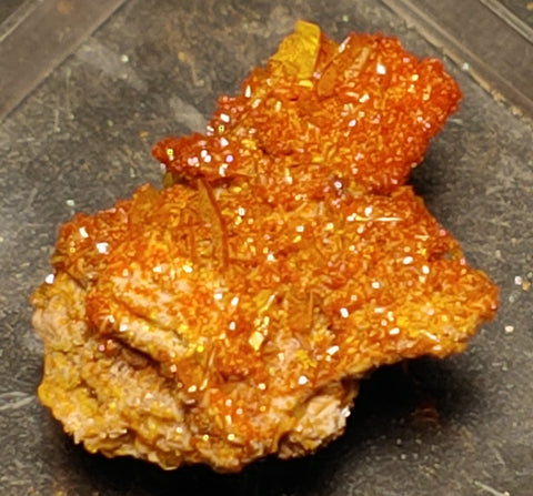 Wulfenite and Mimetite from Rowley Mine, Arizona. 1.8 cm #4055