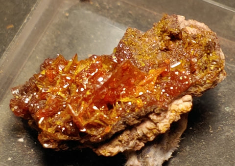 Wulfenite and Mimetite from Rowley Mine, Arizona. 2.3 cm #4056