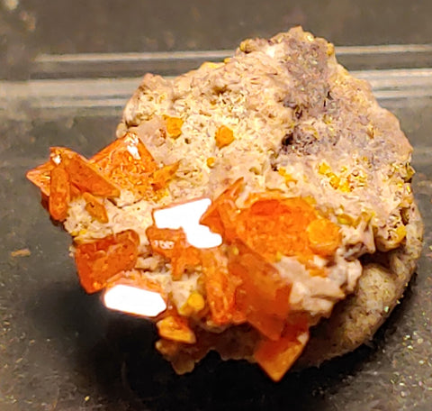 Wulfenite and Mimetite from Rowley Mine, Arizona. 1.7 cm #4057