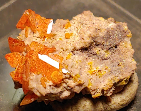 Wulfenite and Mimetite from Rowley Mine, Arizona. 1.7 cm #4057
