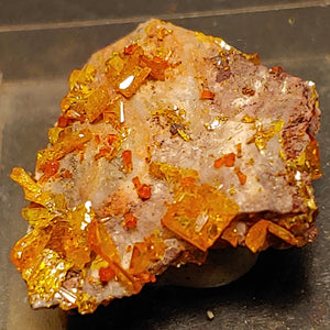 Wulfenite and Mimetite from Rowley Mine, Arizona. 2.2 cm #4058