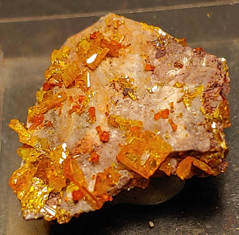 Wulfenite and Mimetite from Rowley Mine, Arizona. 2.2 cm #4058