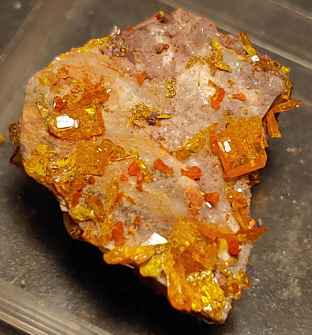 Wulfenite and Mimetite from Rowley Mine, Arizona. 2.2 cm #4058