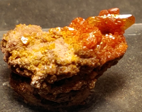 Wulfenite and Mimetite from Rowley Mine, Arizona. 1.5 cm #4063