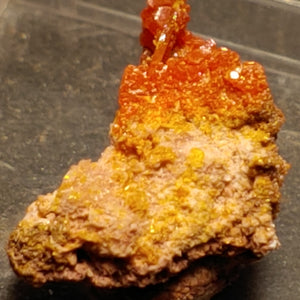 Wulfenite and Mimetite from Rowley Mine, Arizona. 1.5 cm #4063
