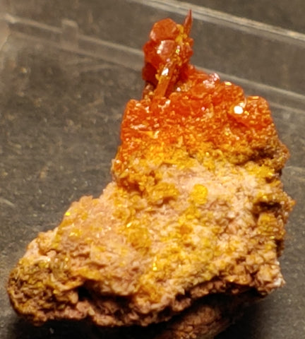 Wulfenite and Mimetite from Rowley Mine, Arizona. 1.5 cm #4063