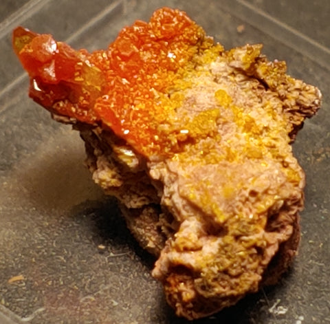 Wulfenite and Mimetite from Rowley Mine, Arizona. 1.5 cm #4063