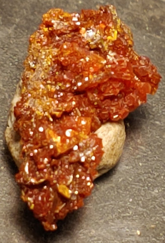 Wulfenite and Mimetite from Rowley Mine, Arizona. 1.6 cm #4064