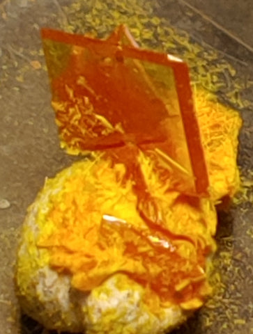 Wulfenite and Mimetite from Rowley Mine, Arizona. 1.2 cm #4066