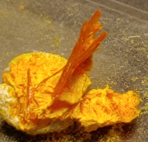 Wulfenite and Mimetite from Rowley Mine, Arizona. 1.2 cm #4066