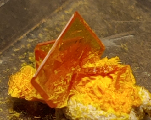 Wulfenite and Mimetite from Rowley Mine, Arizona. 1.2 cm #4066